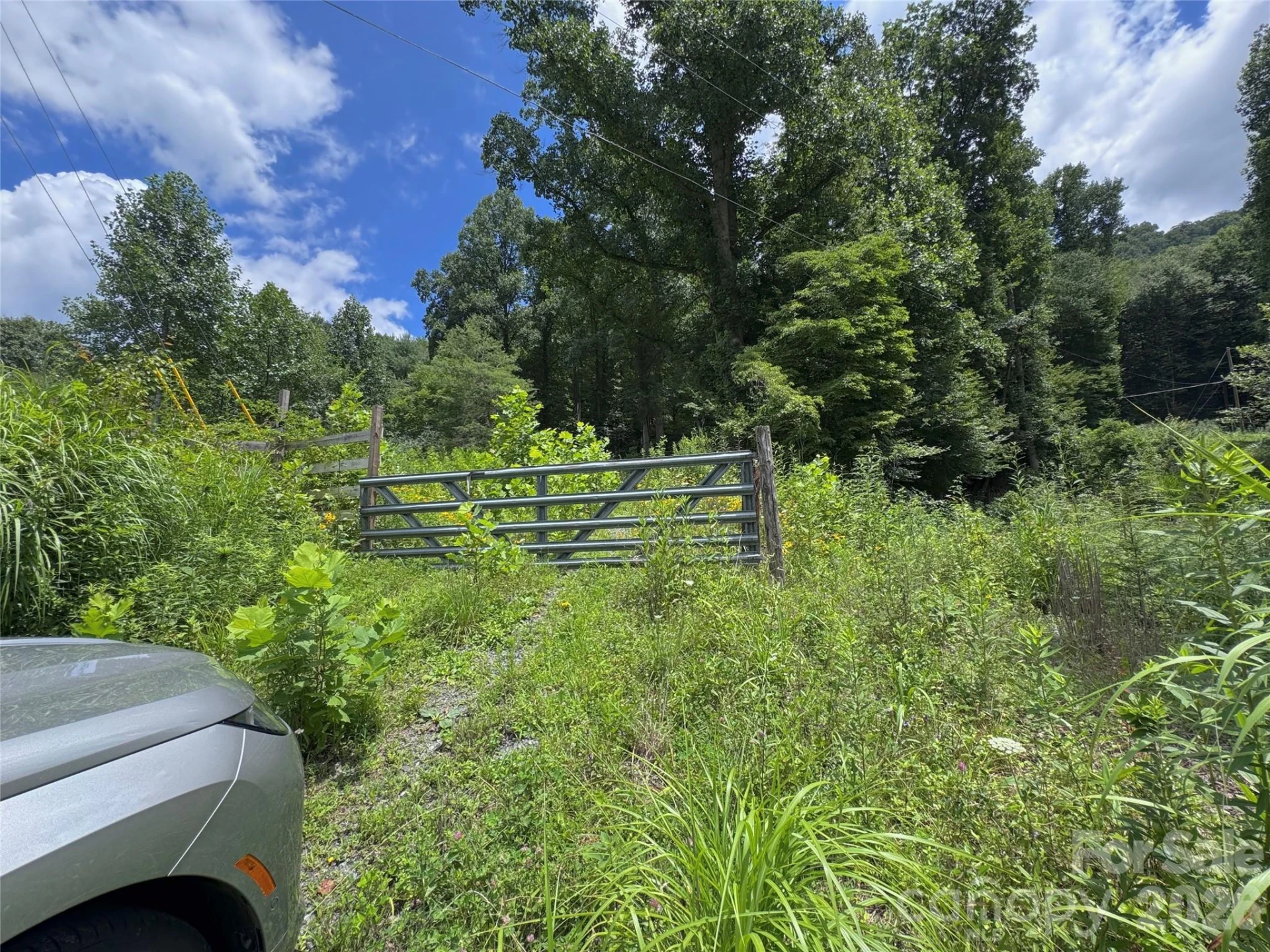 TBD Paint Fork Road - Photo 19