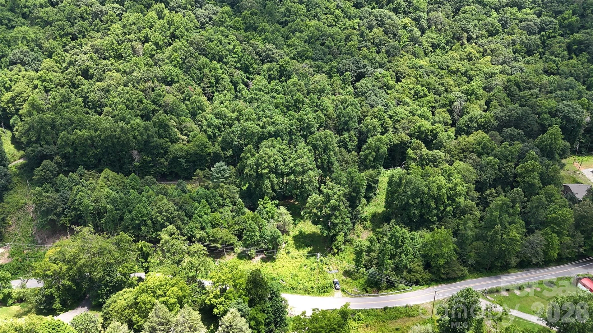 TBD Paint Fork Road - Photo 3