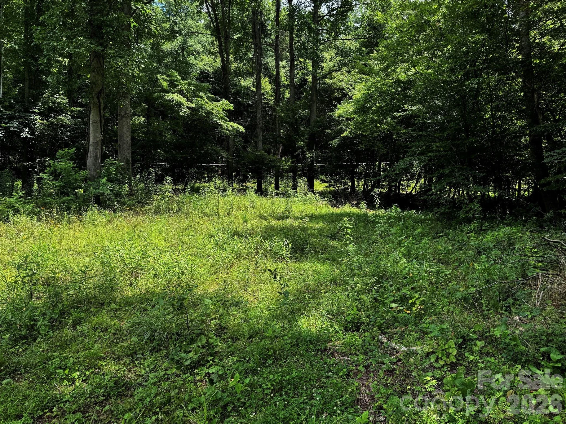 TBD Paint Fork Road - Photo 21