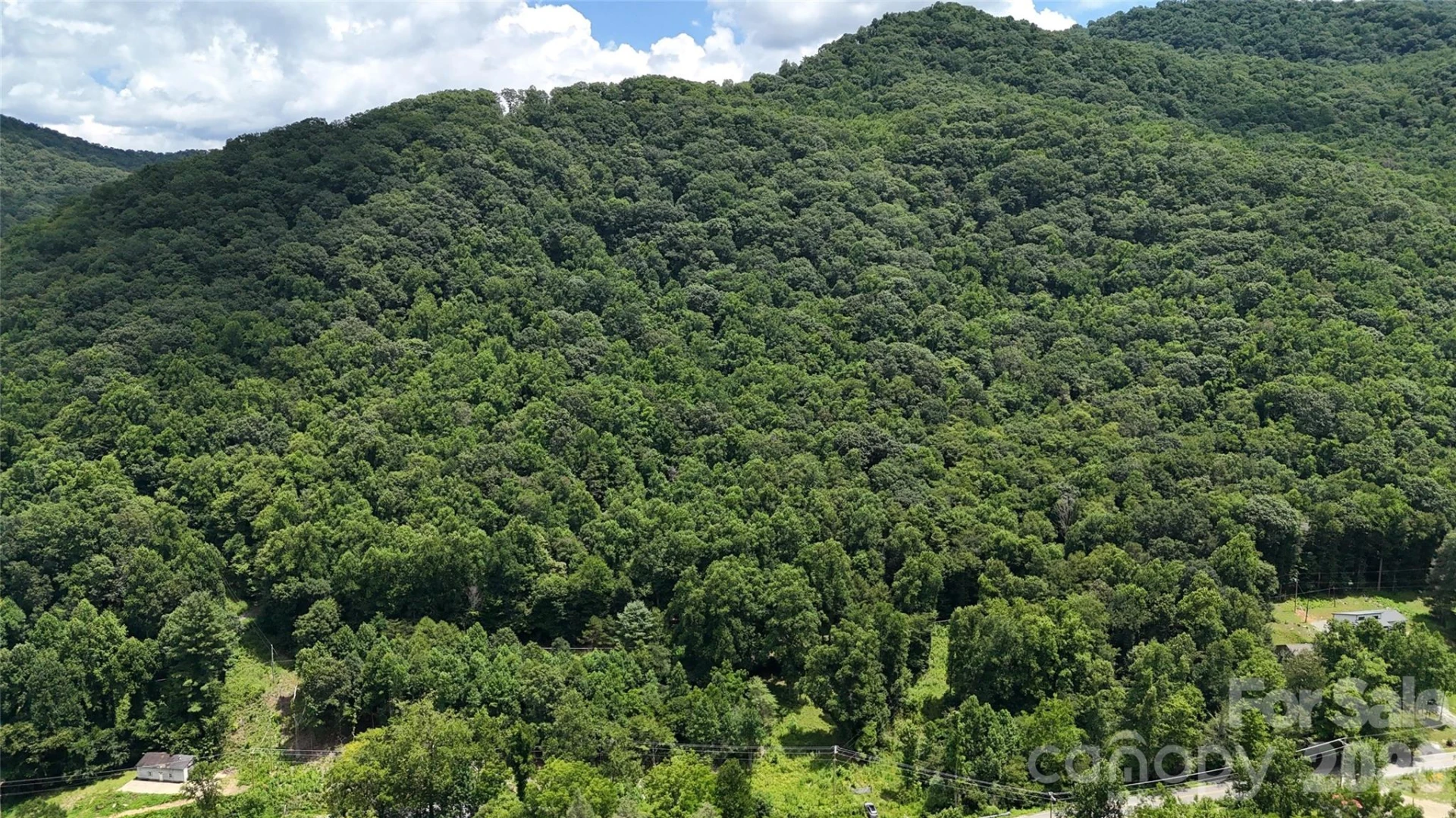 TBD Paint Fork Road - Photo 29