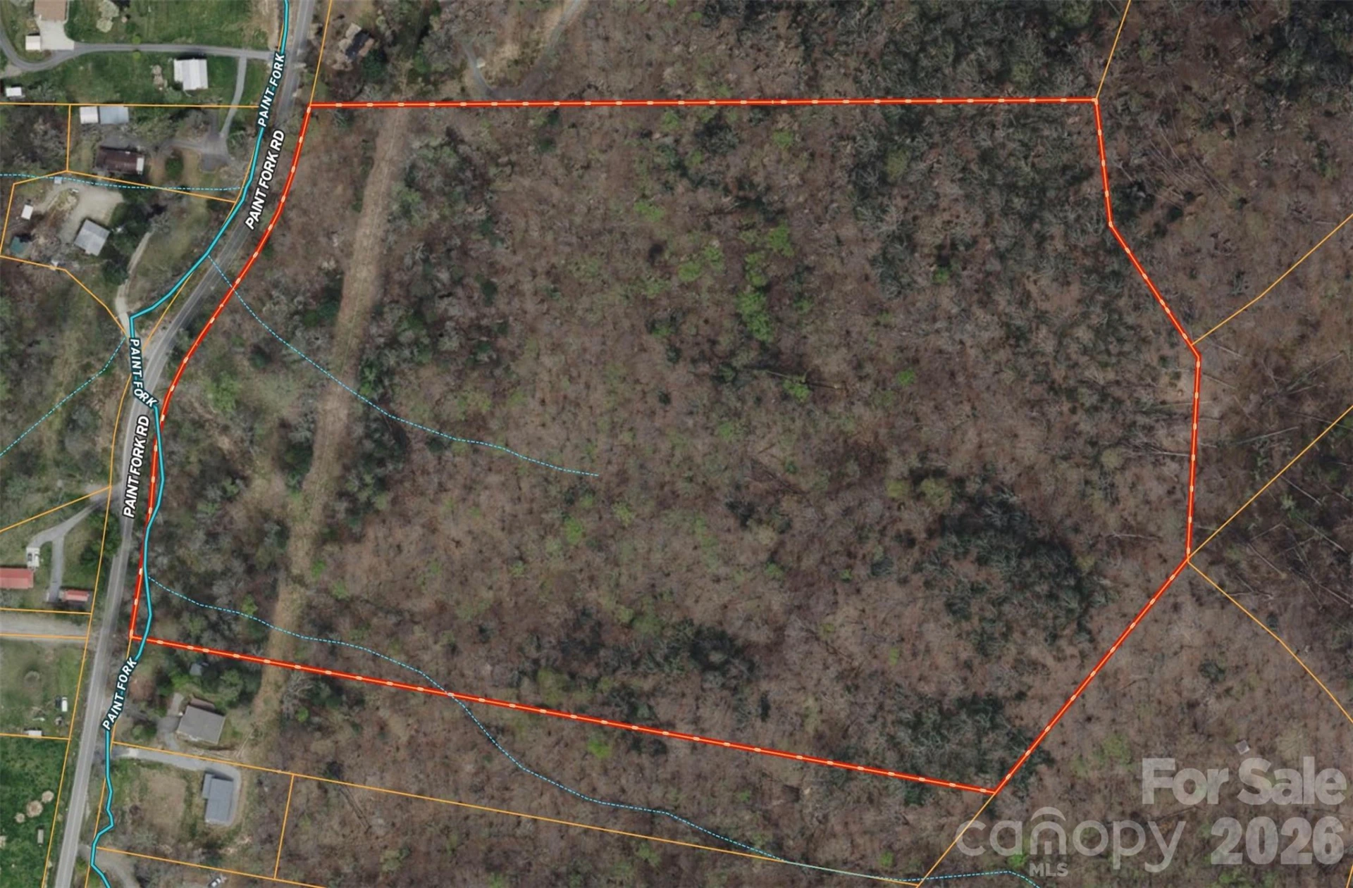 TBD Paint Fork Road - Photo 31