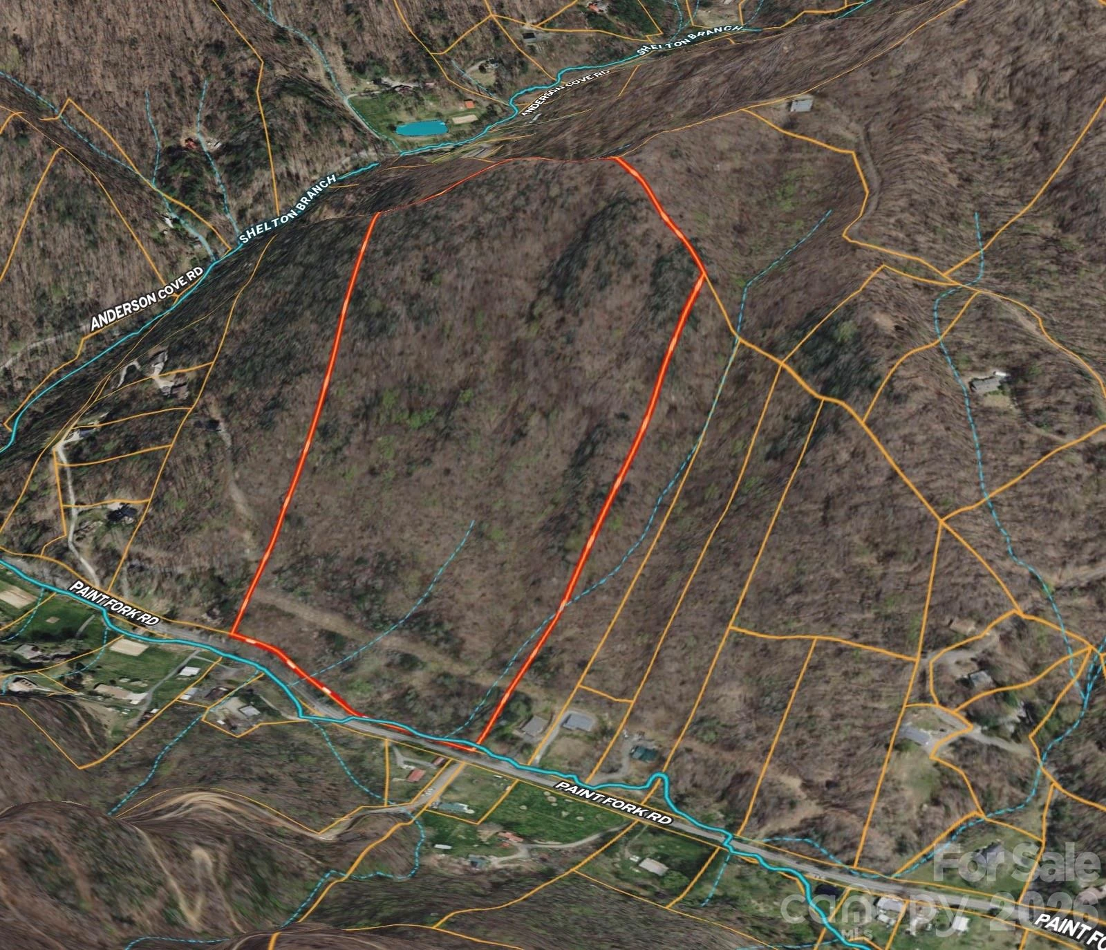 TBD Paint Fork Road - Photo 32