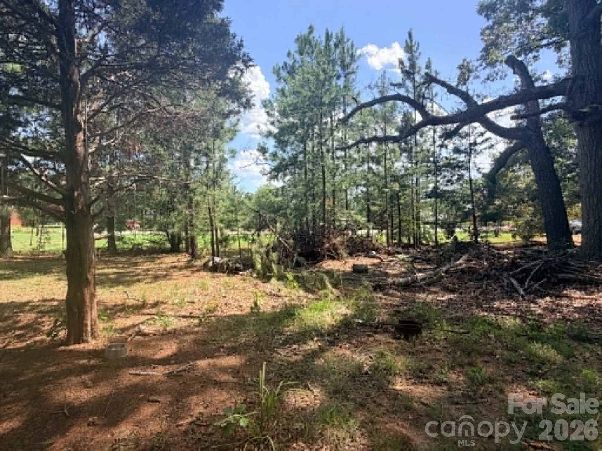 1663 Harris Henrietta Road - Photo 12
