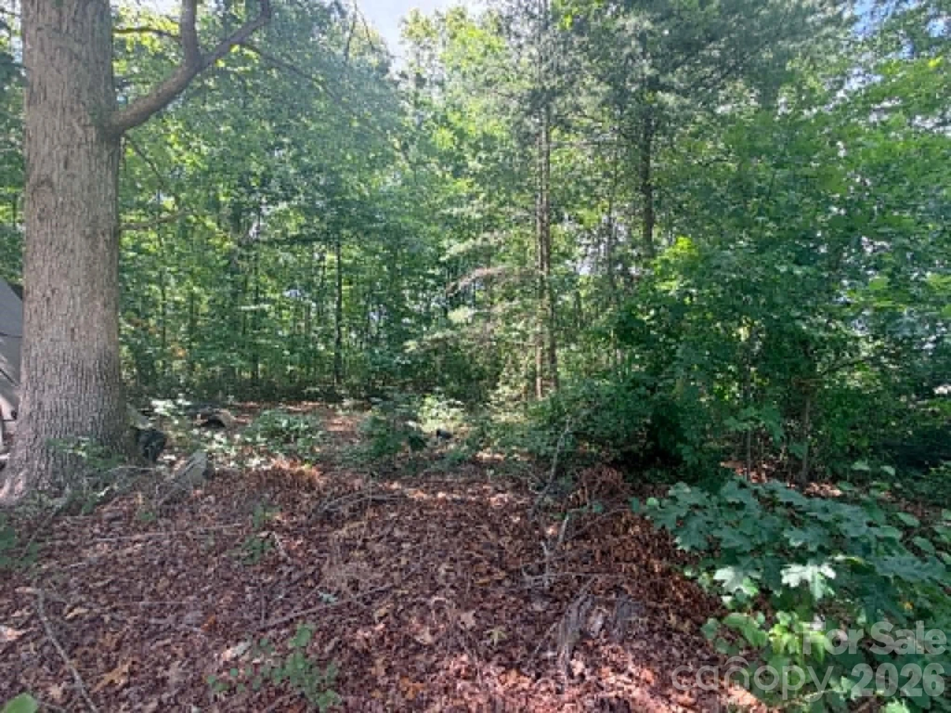1663 Harris Henrietta Road - Photo 13