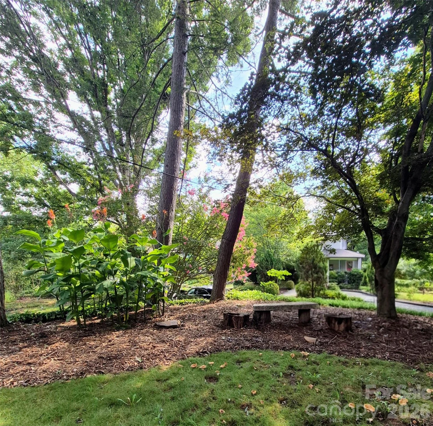 41 Panola Street - Photo 3