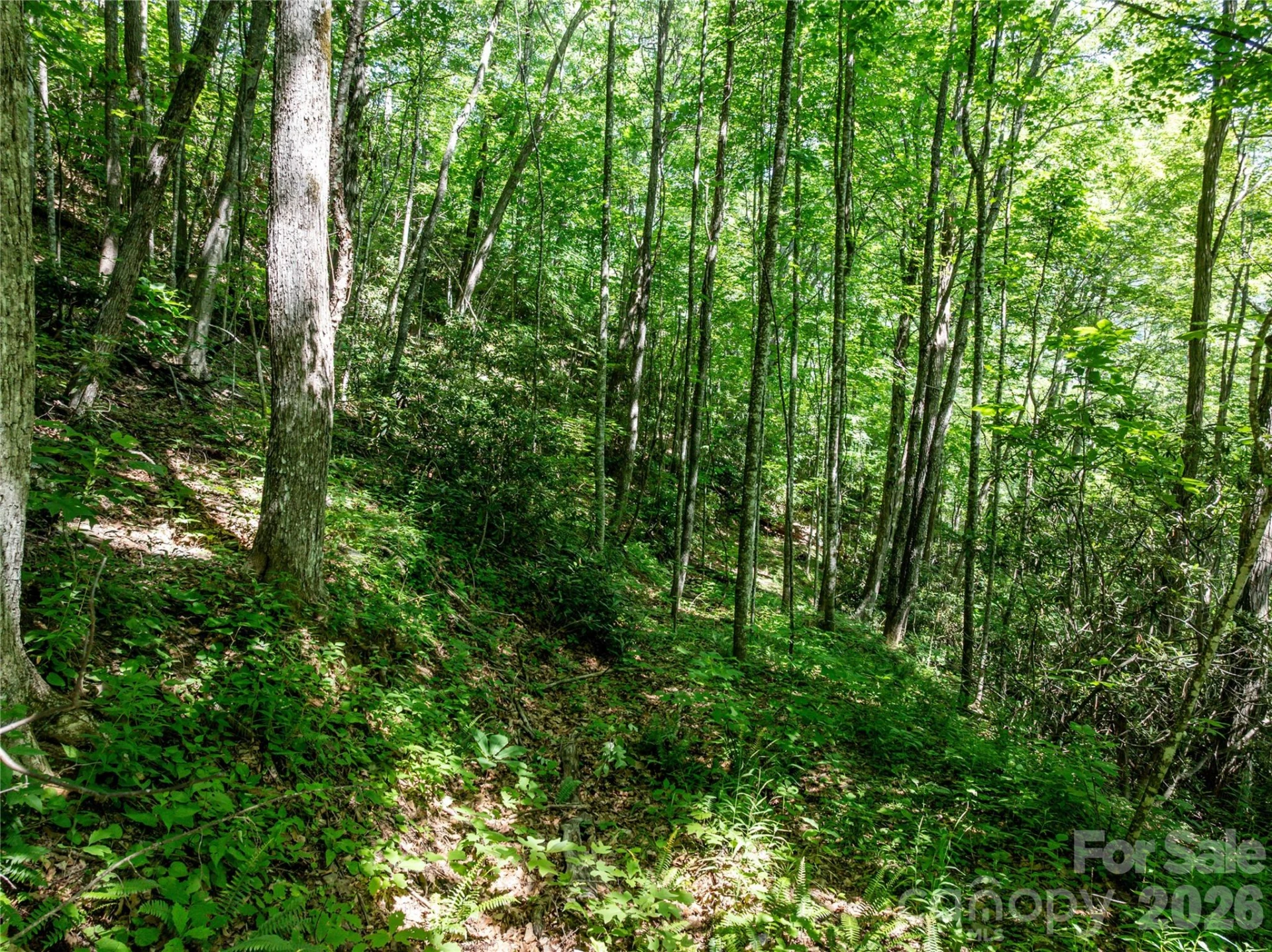 8 White Birch Court #424 - Photo 11