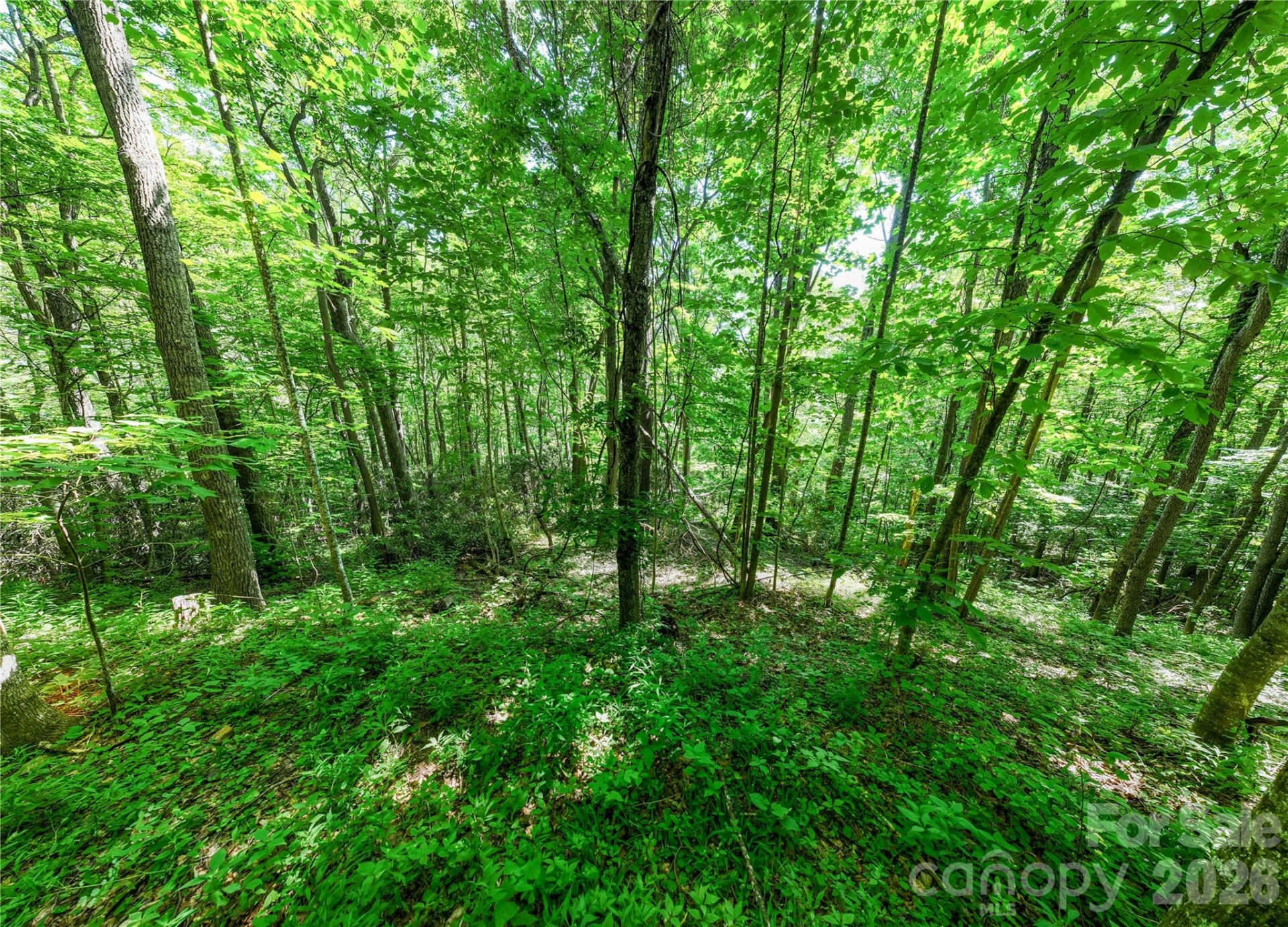 8 White Birch Court #424 - Photo 13