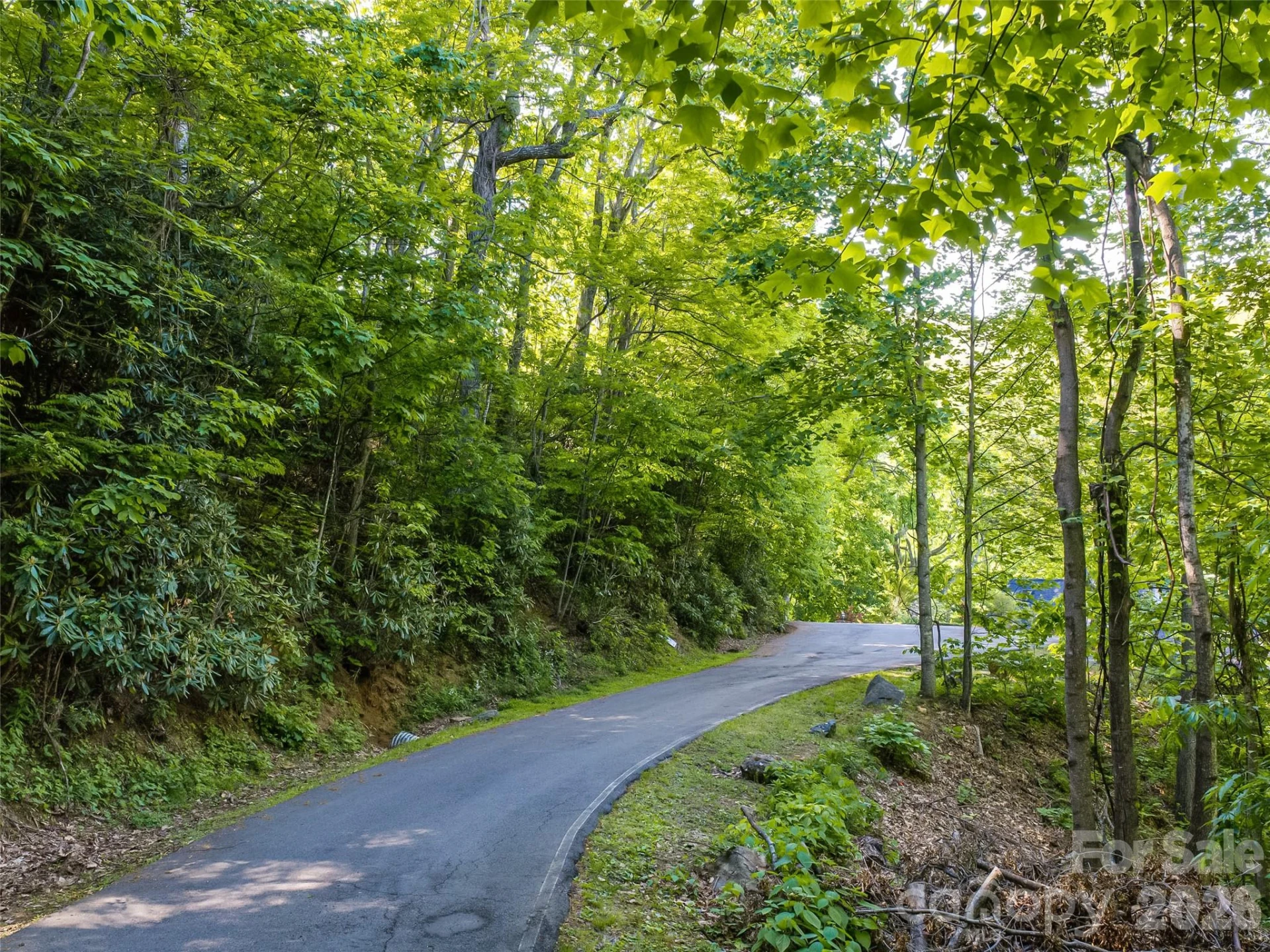 8 White Birch Court #424 - Photo 20