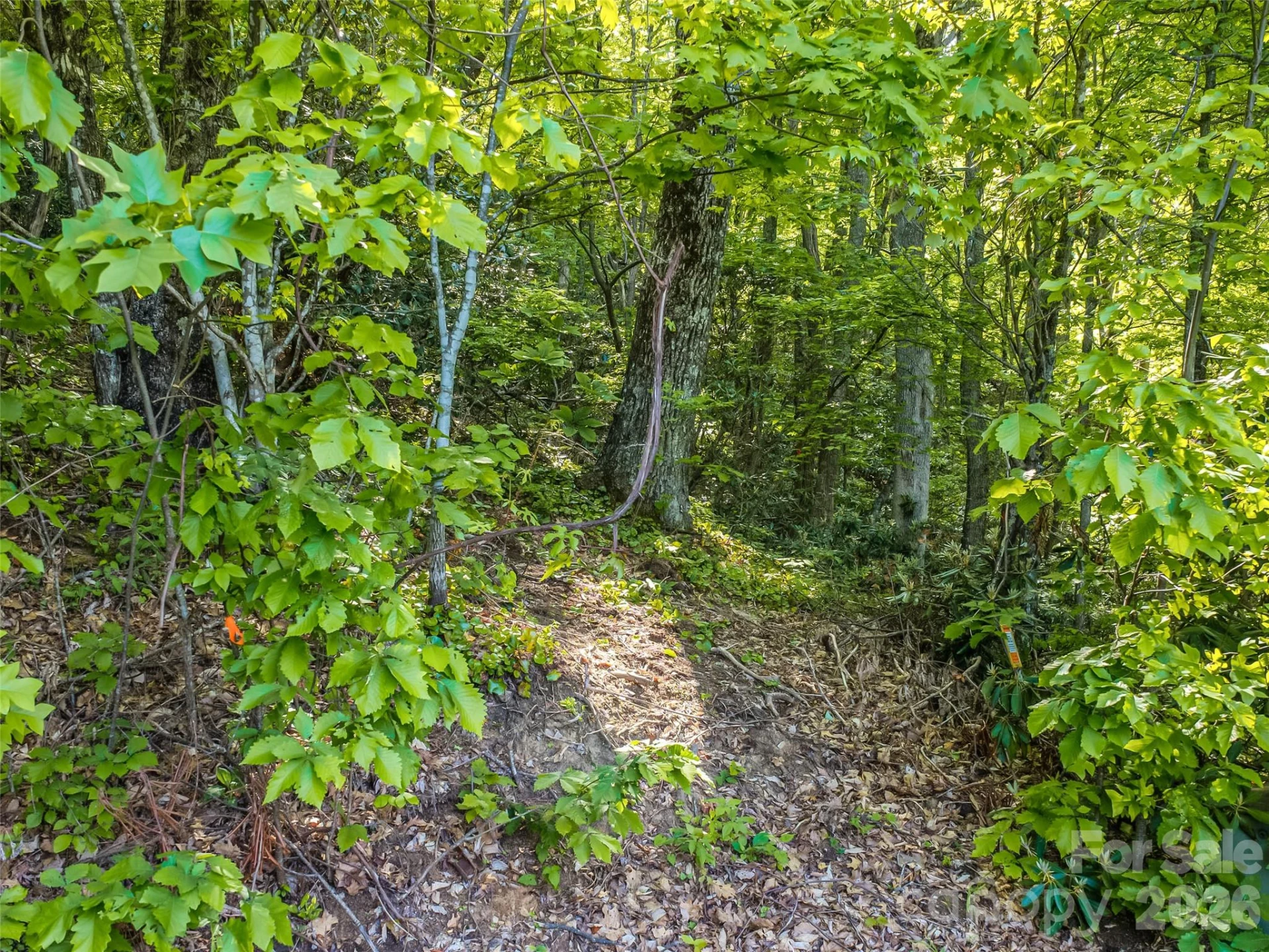 8 White Birch Court #424 - Photo 24