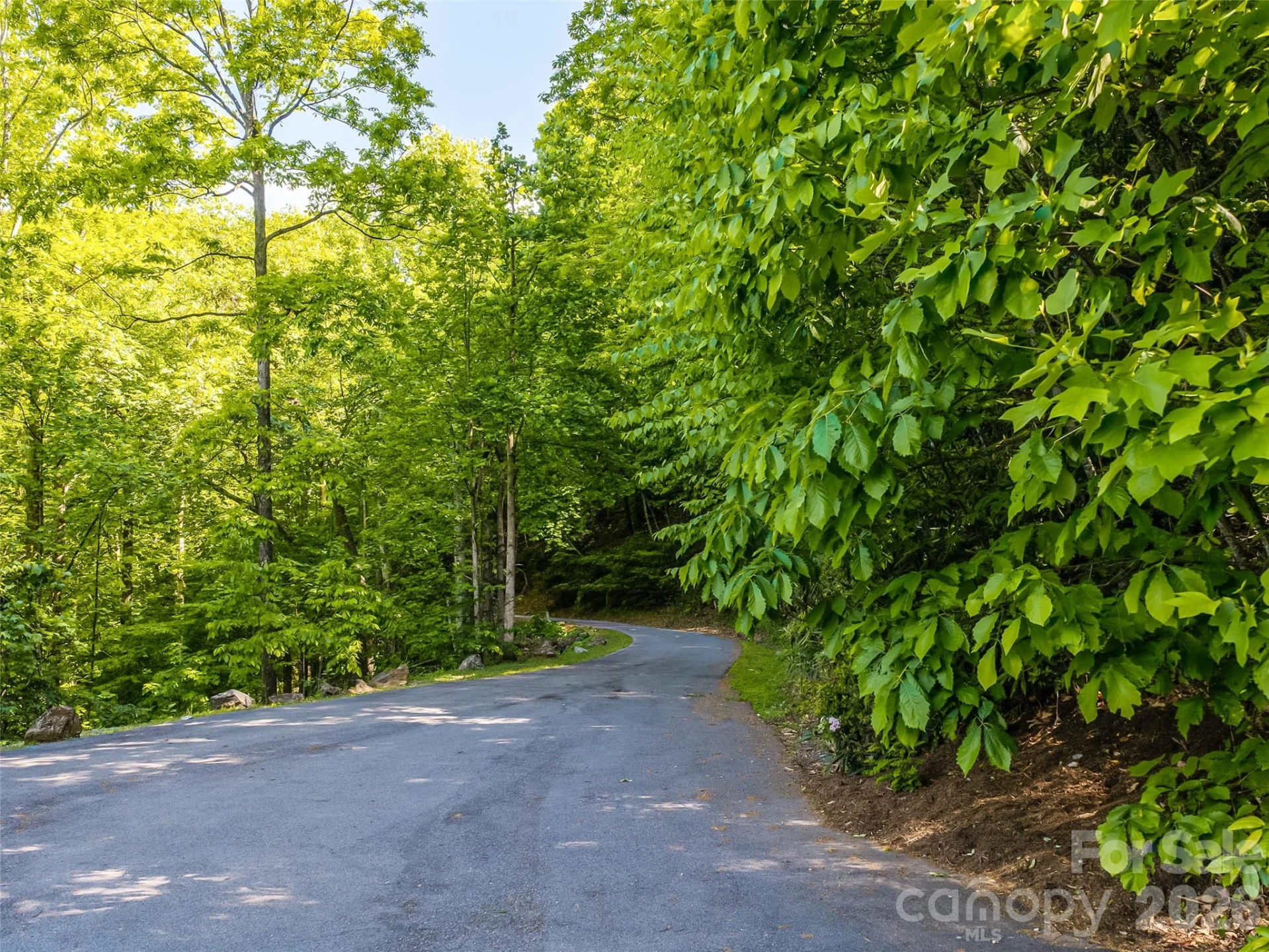 8 White Birch Court #424 - Photo 25