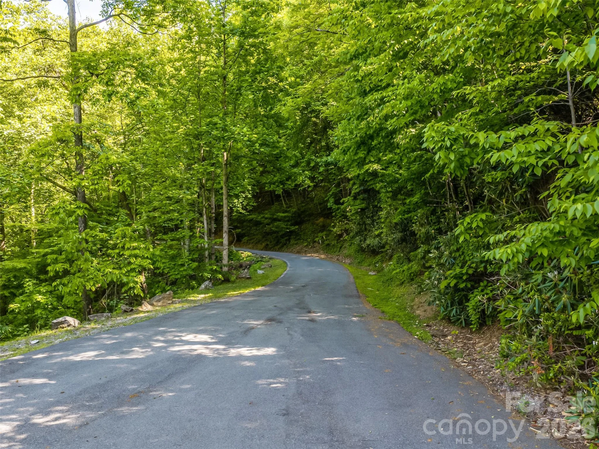 8 White Birch Court #424 - Photo 26