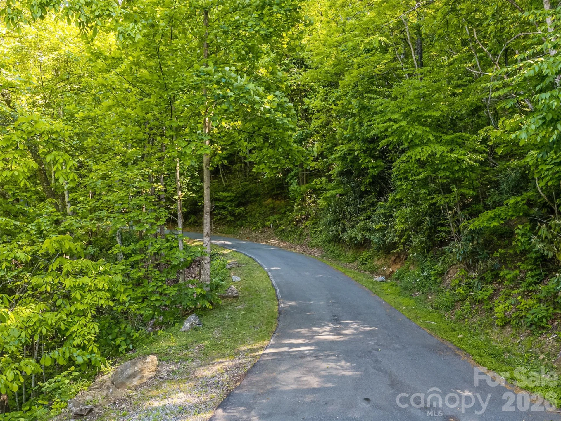 8 White Birch Court #424 - Photo 27