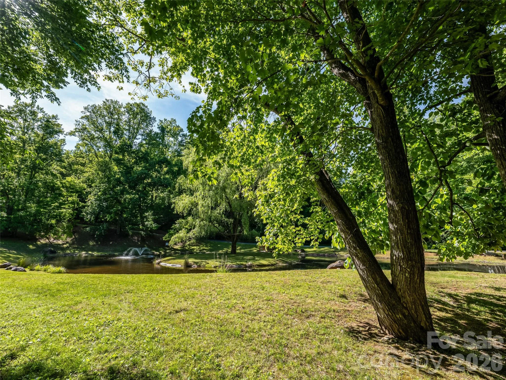 8 White Birch Court #424 - Photo 32