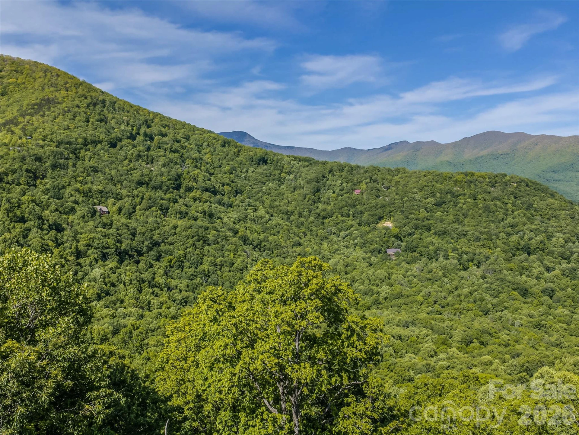 8 White Birch Court #424 - Photo 6
