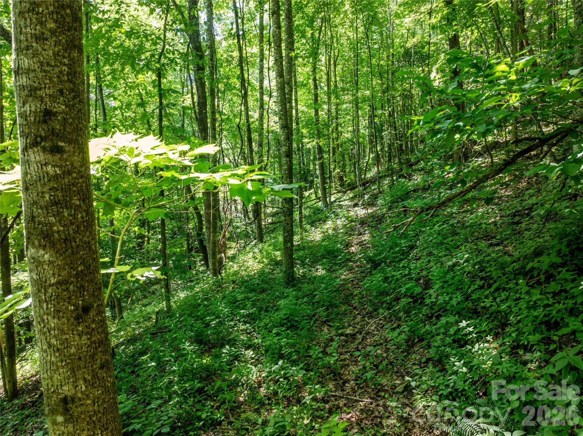 8 White Birch Court #424 - Photo 10