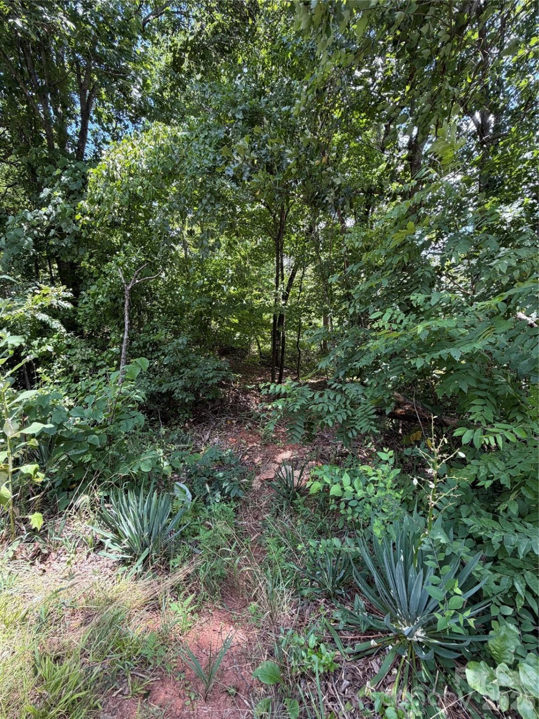 0 spindale Street - Photo 8