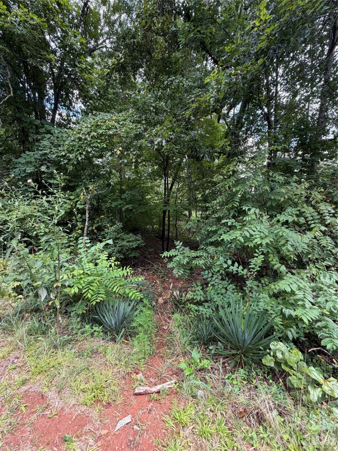 0 spindale Street - Photo 7