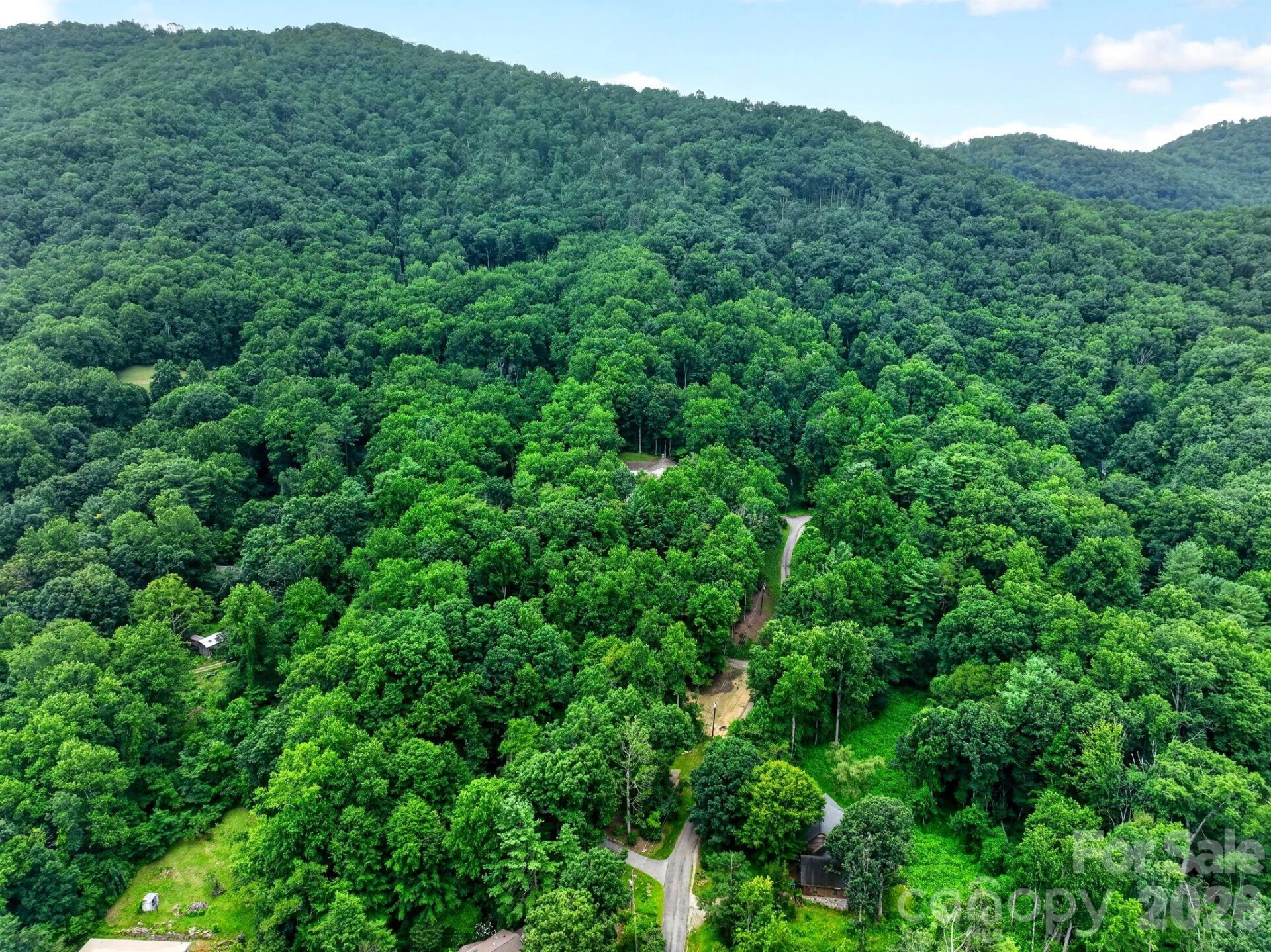 12 Beech Tree Lane - Photo 48