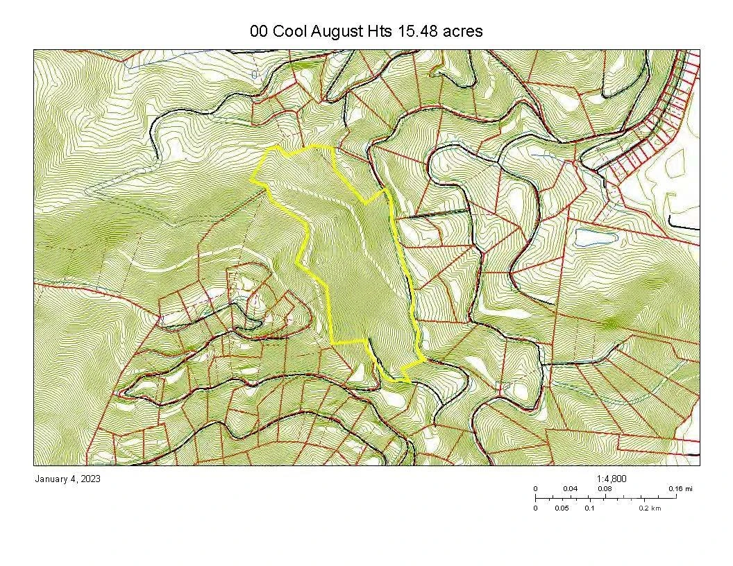 00 Cool August Heights - Photo 2