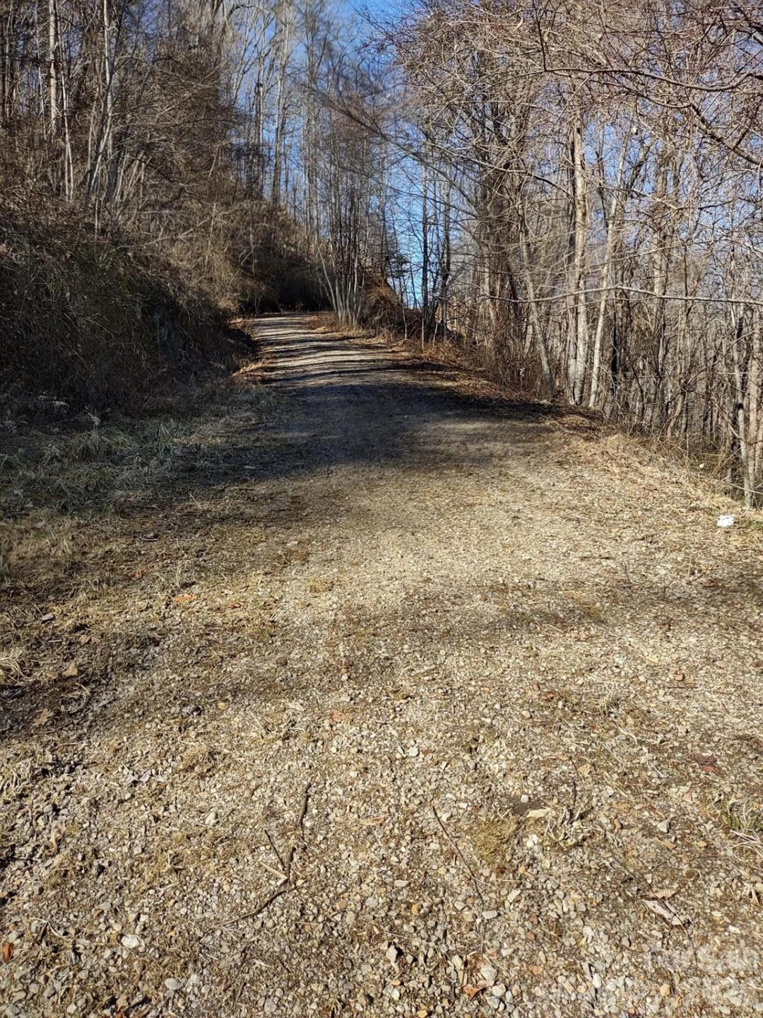 00 Cool August Heights - Photo 16