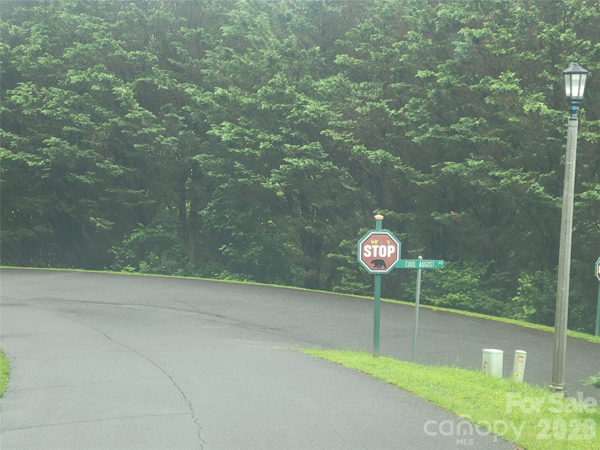 00 Cool August Heights - Photo 13