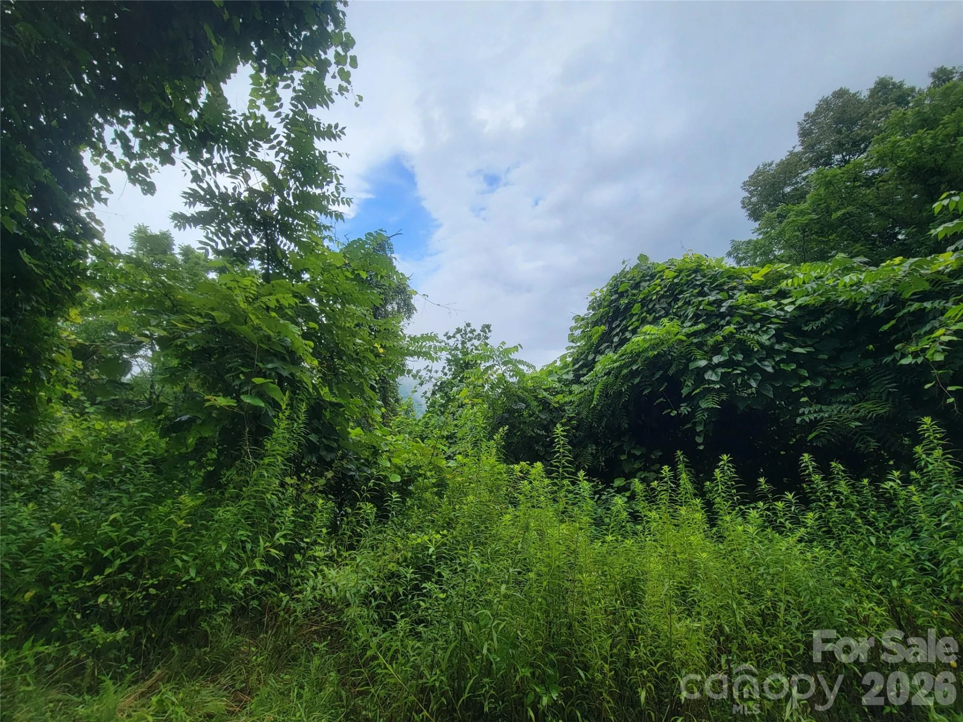 00 Cool August Heights - Photo 22