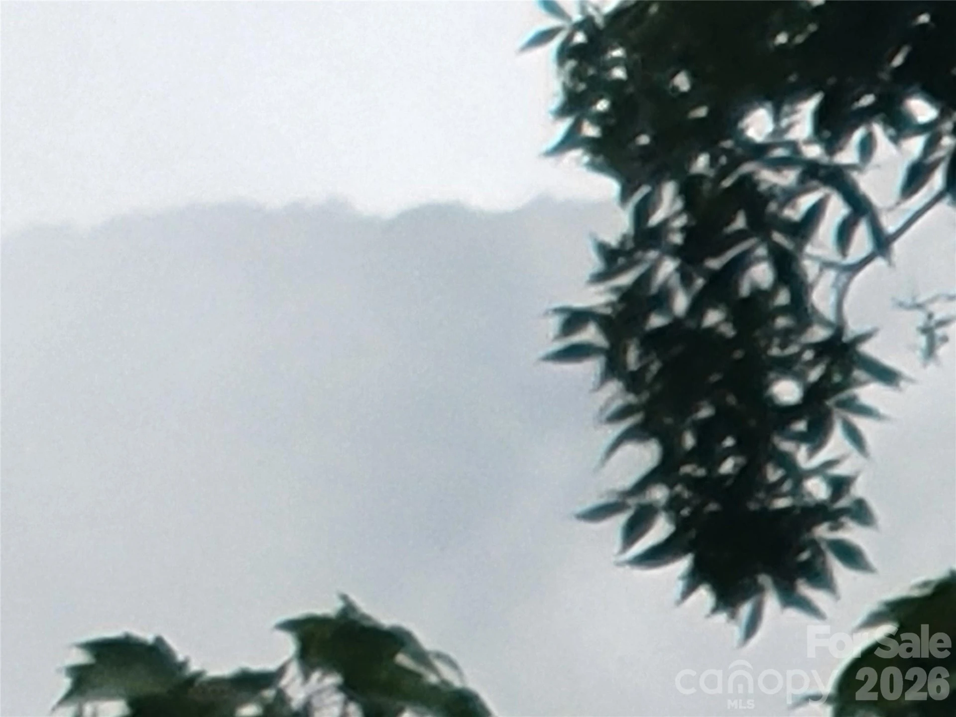 00 Cool August Heights - Photo 29