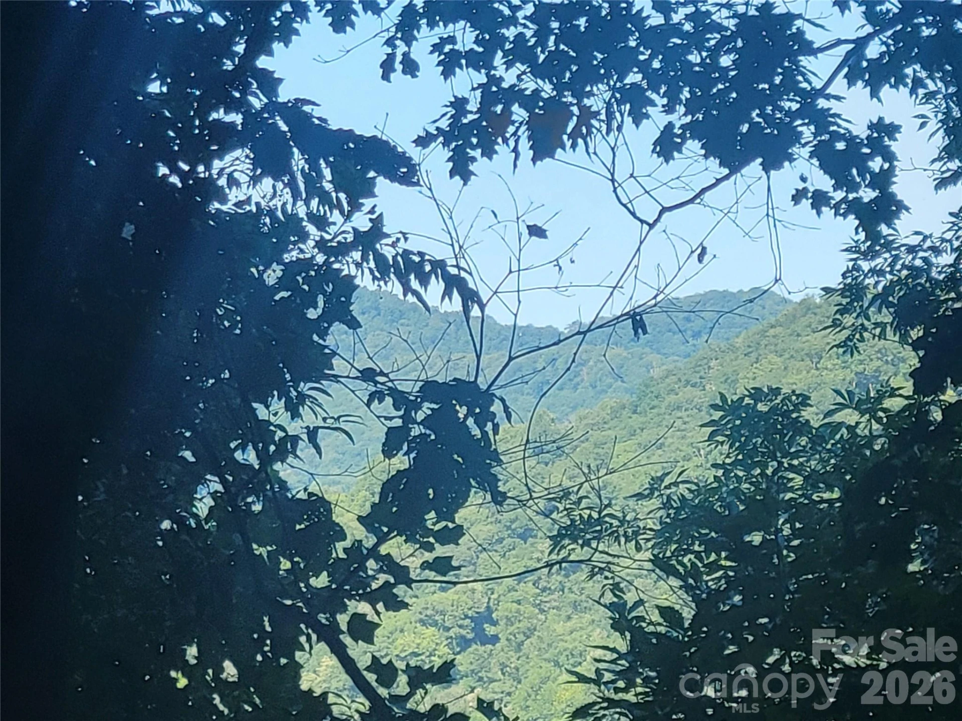 00 Cool August Heights - Photo 32
