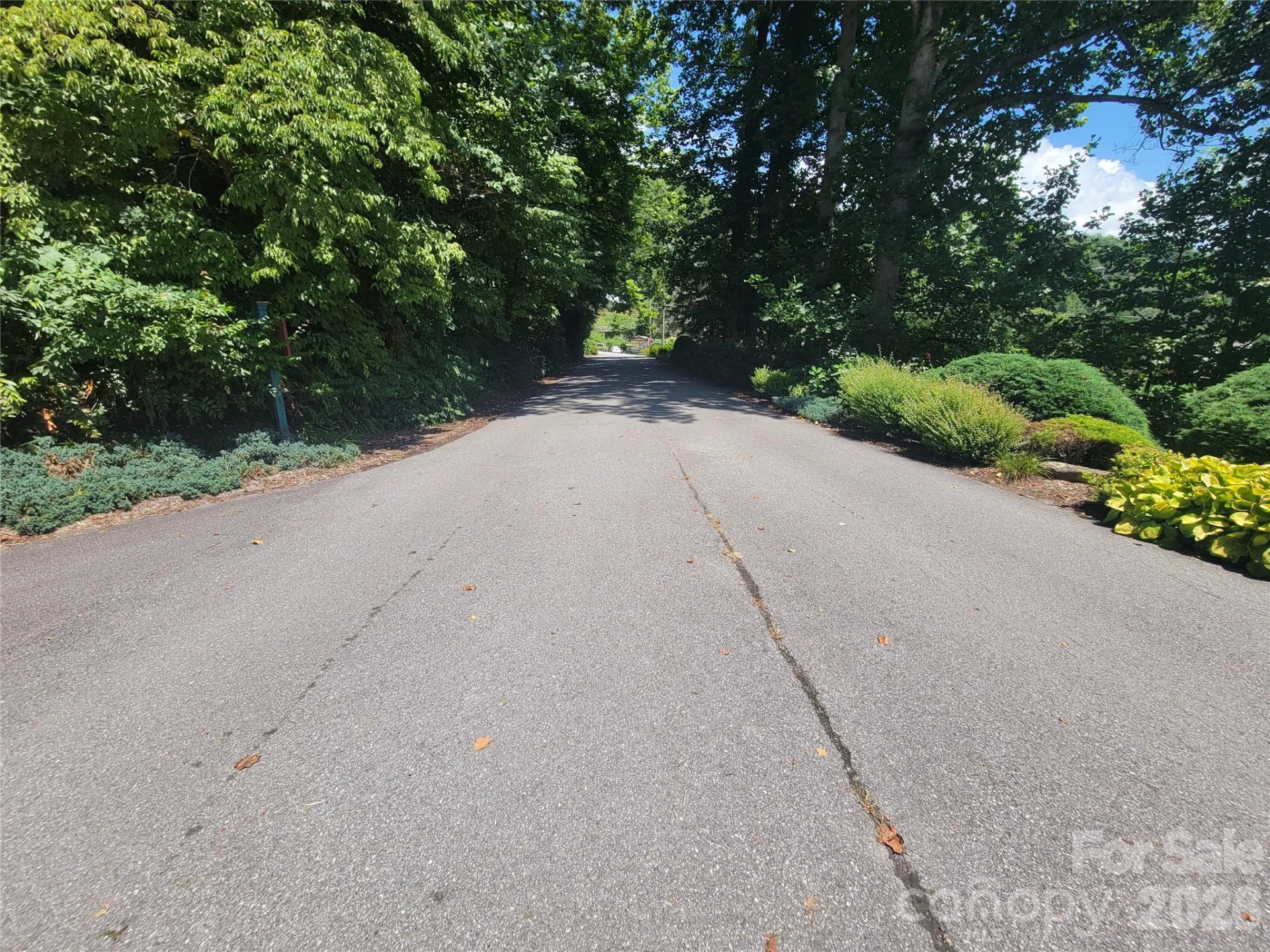00 Cool August Heights - Photo 6
