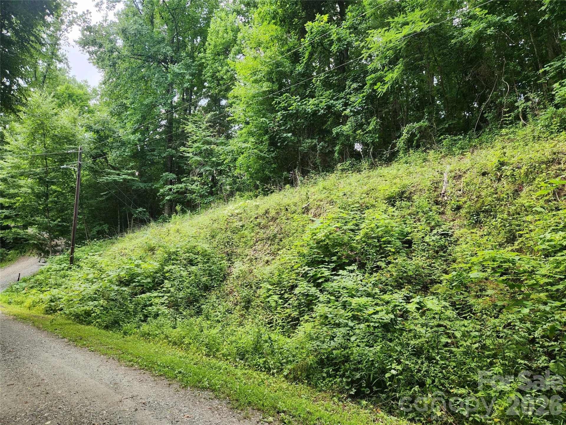 000 Jacks Knob Road - Photo 2