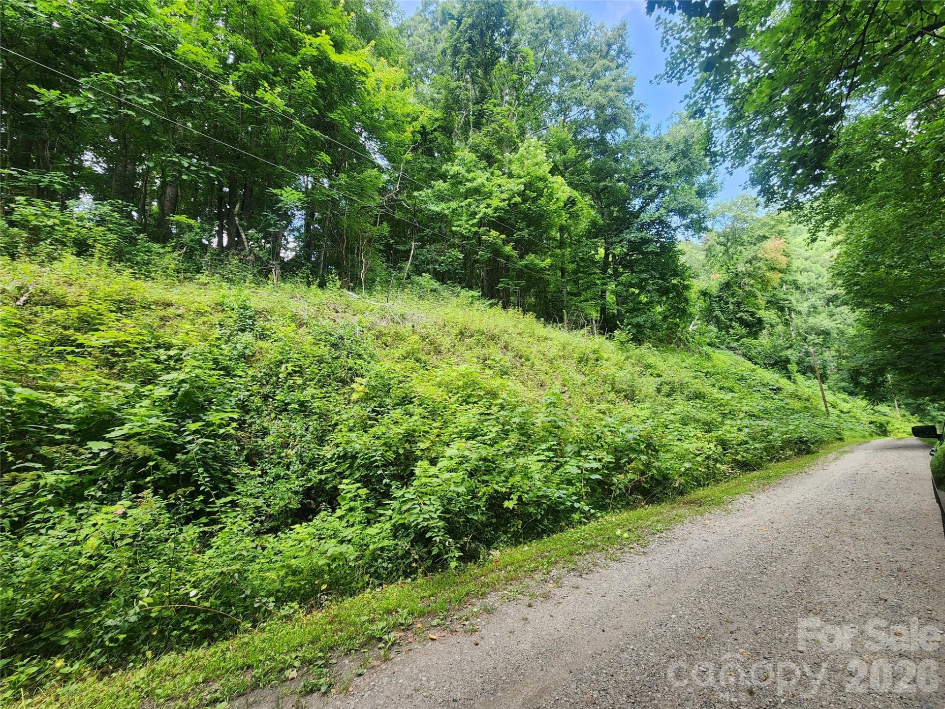 000 Jacks Knob Road - Photo 4