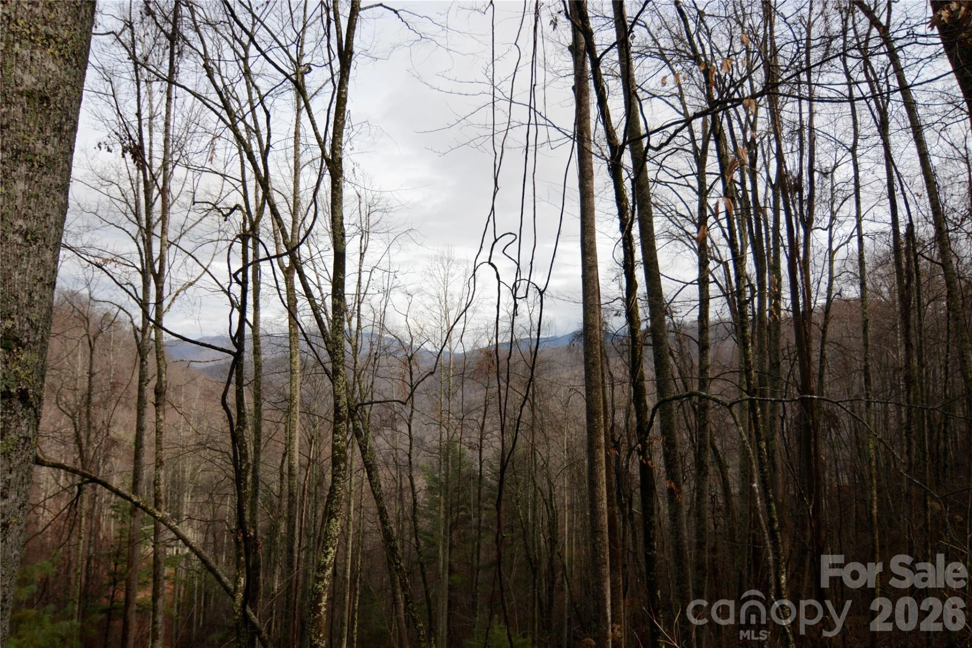 000 Jacks Knob Road - Photo 5