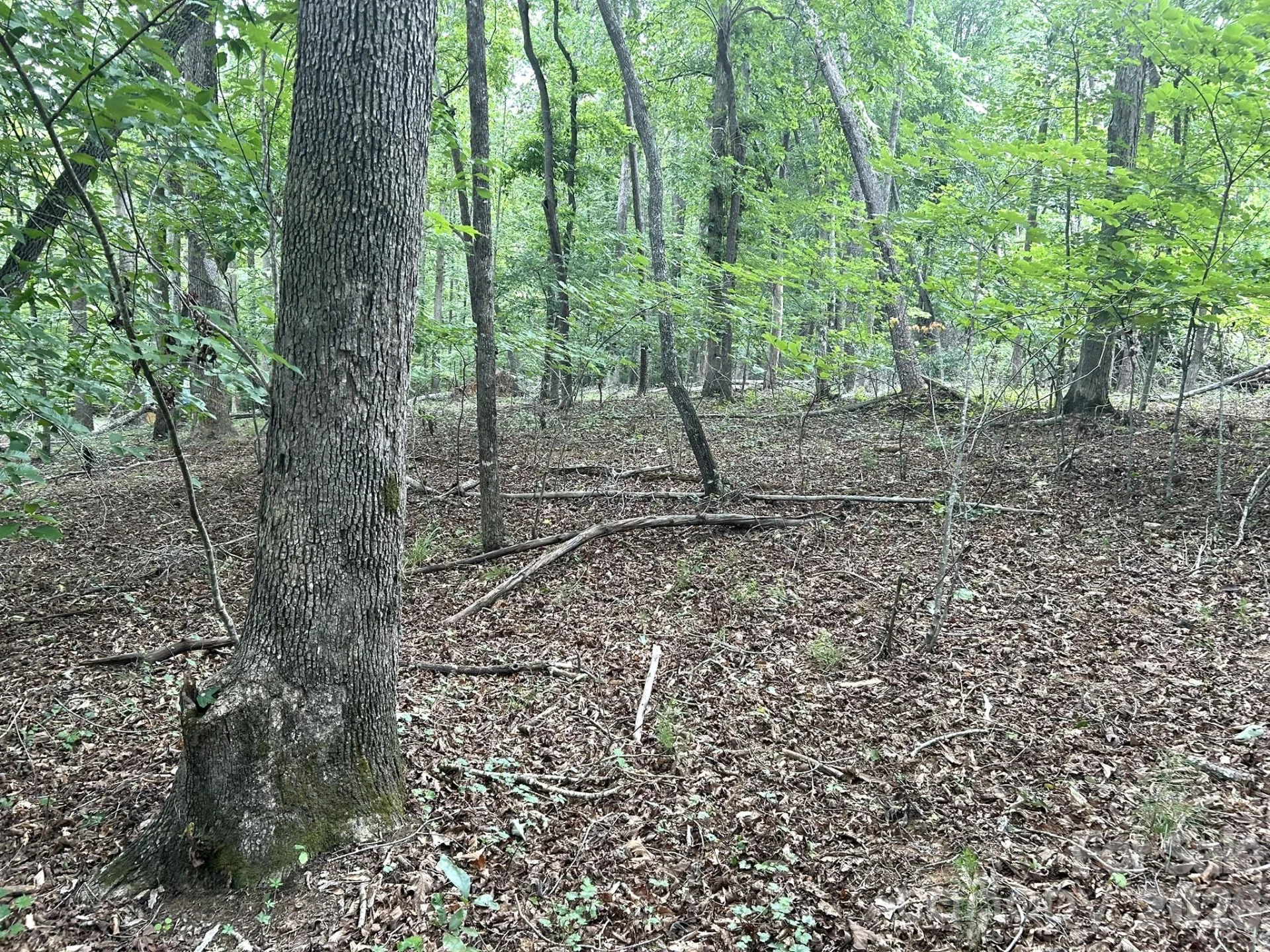 00 Bitteroot Circle #302 - Photo 2
