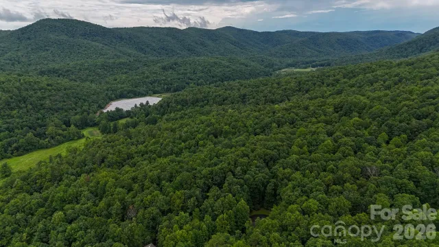 364 & 365 Big Bear Trail, Zirconia, NC, 28790