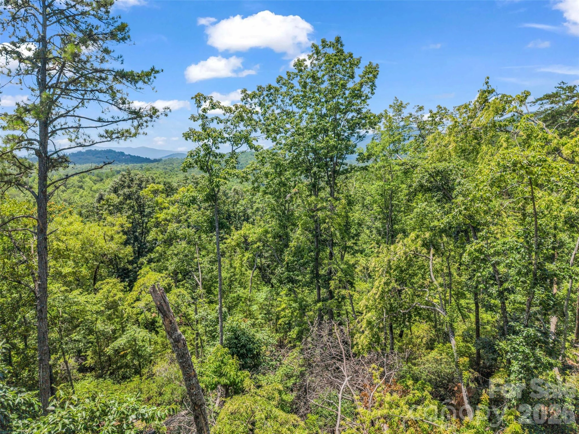 0 Matho Trace #41 - Photo 28