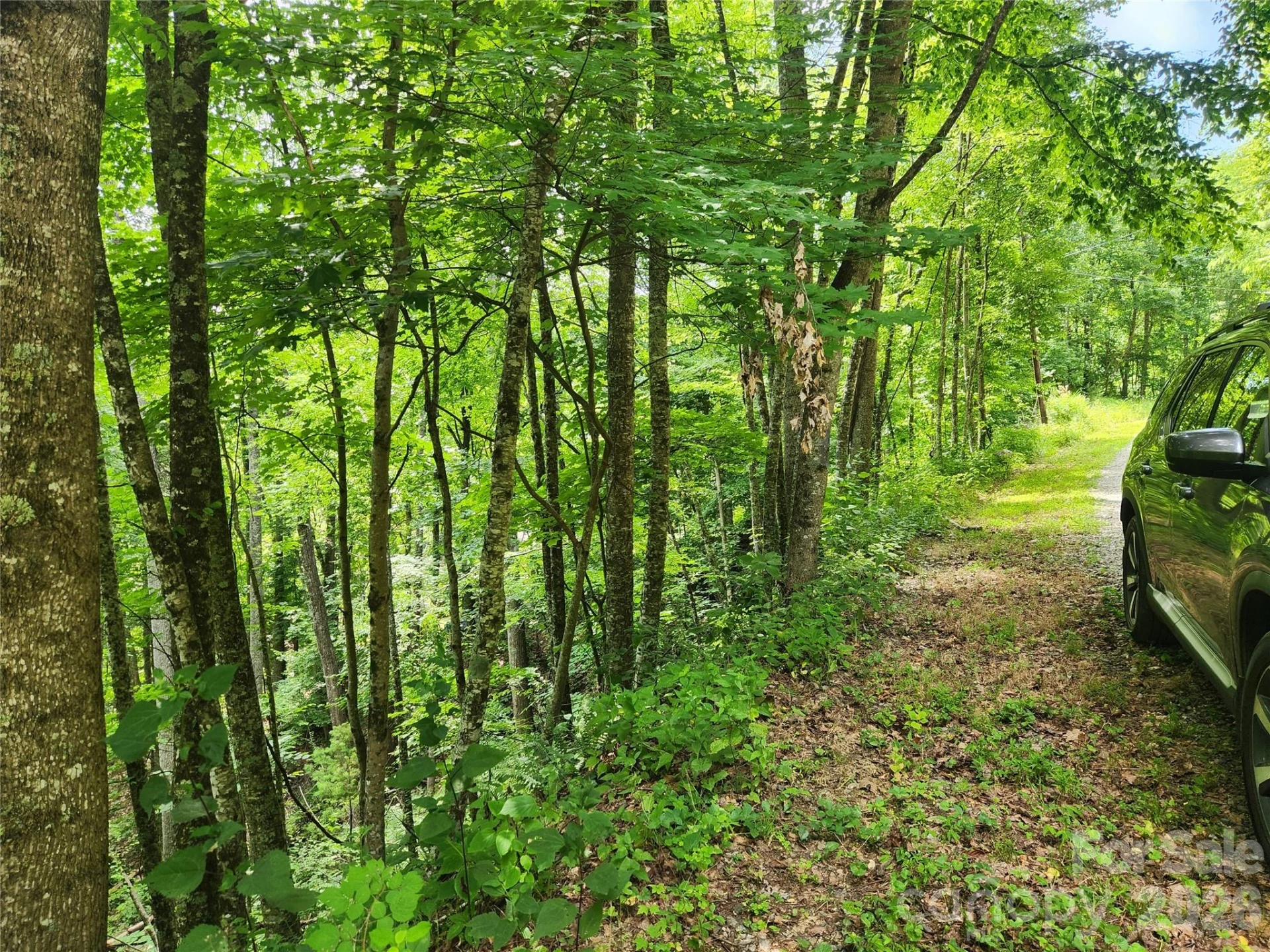 00 Green Ridge Falls Road - Photo 2