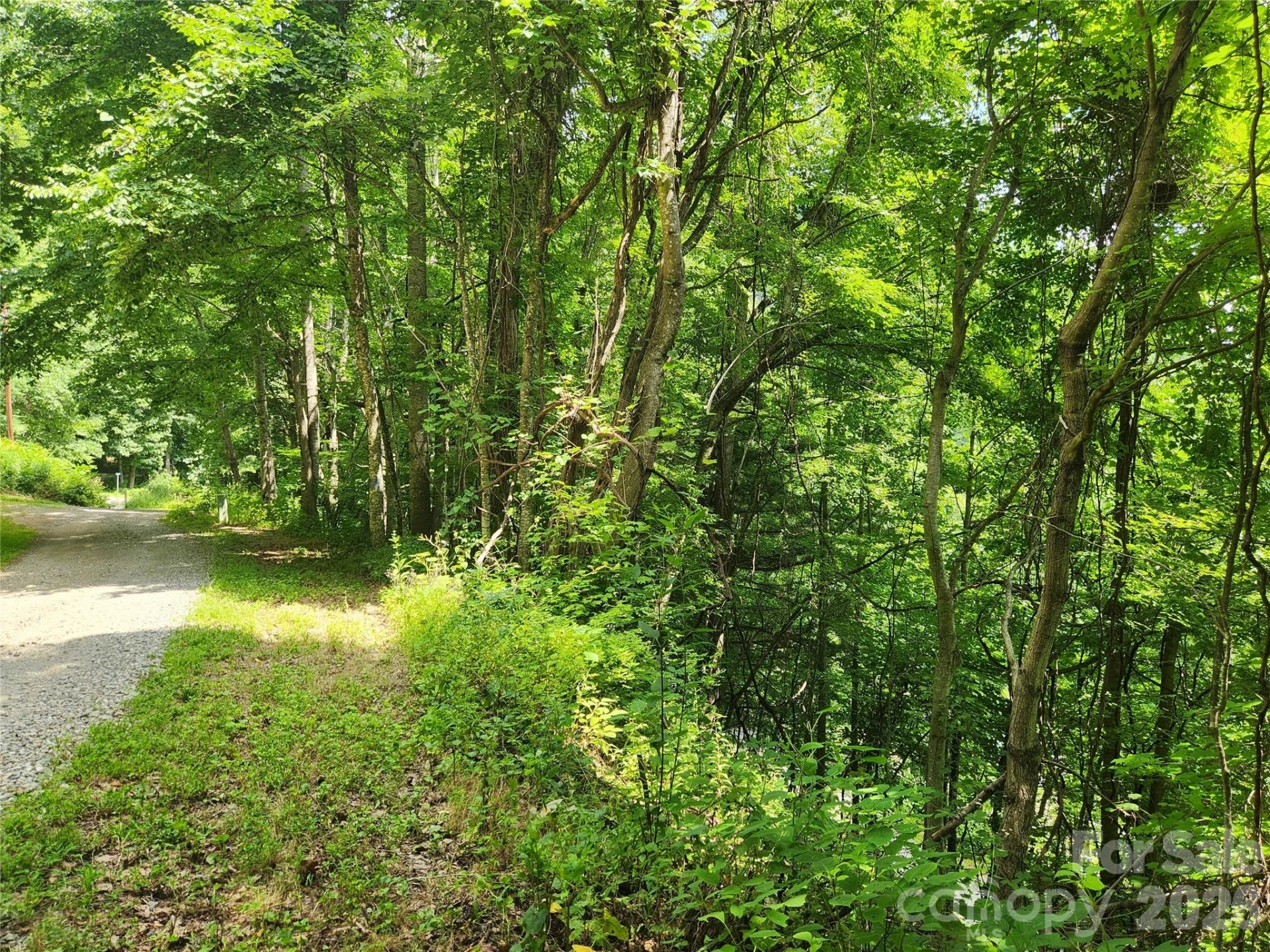 00 Green Ridge Falls Road - Photo 4