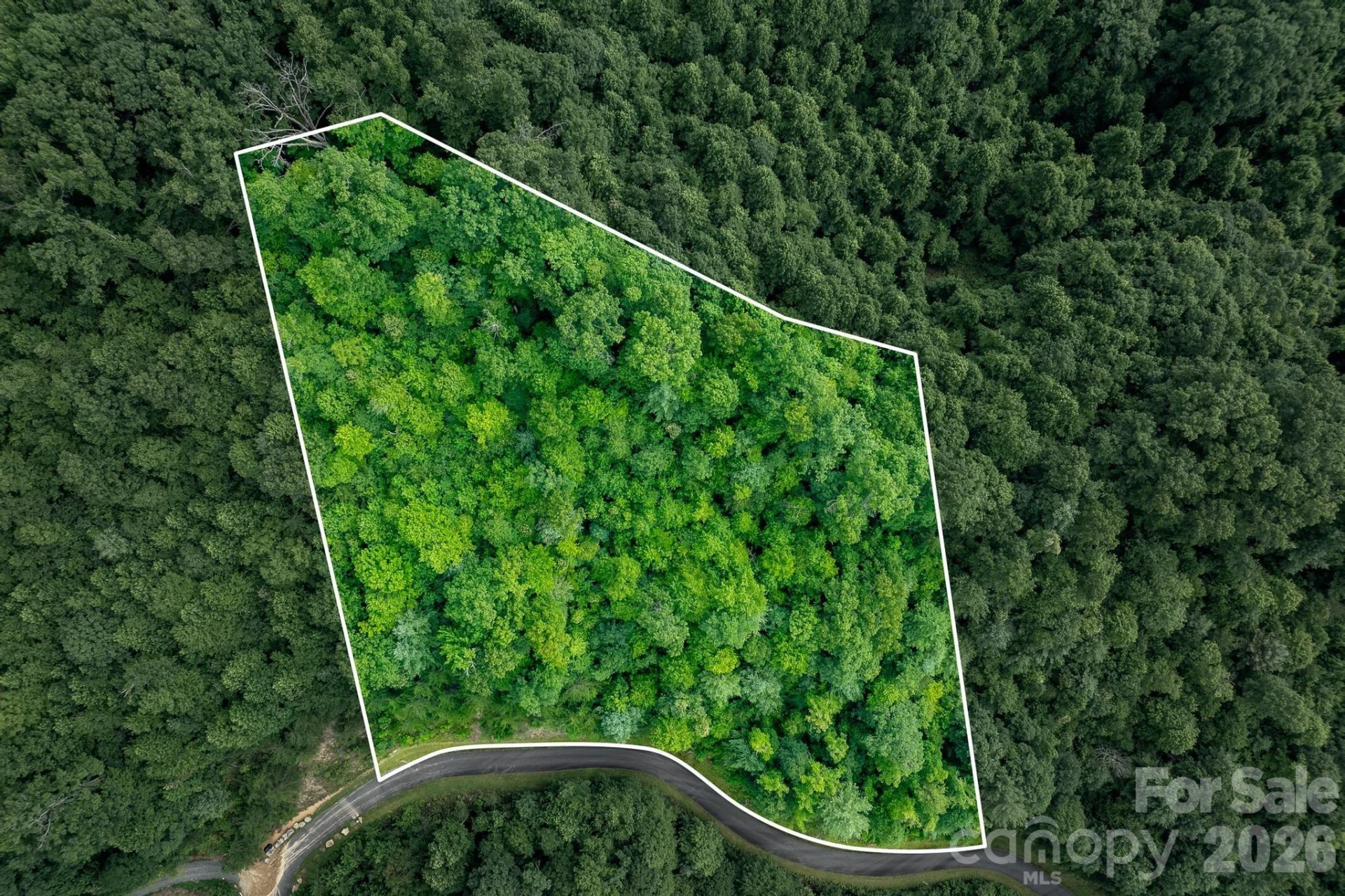 565 Pine Cone Trail - Photo 2