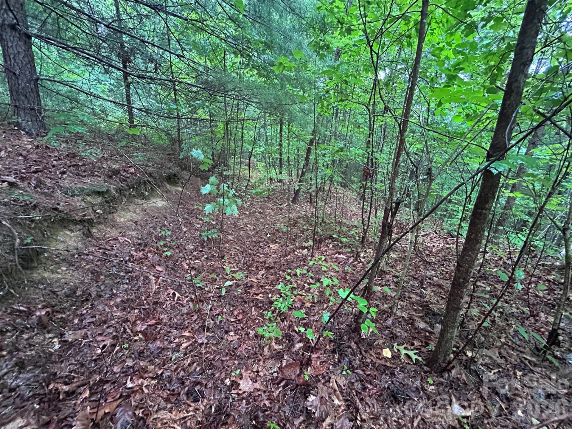 565 Pine Cone Trail - Photo 17