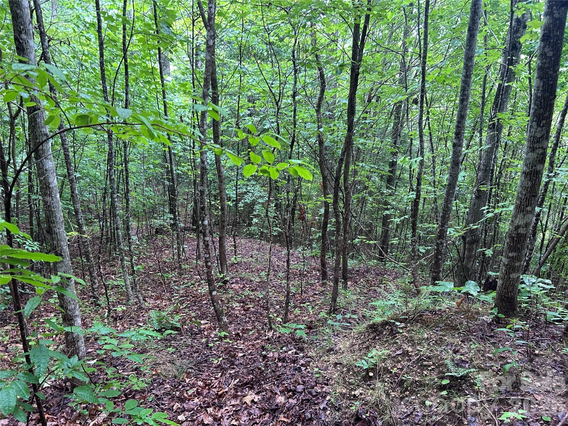 565 Pine Cone Trail - Photo 19