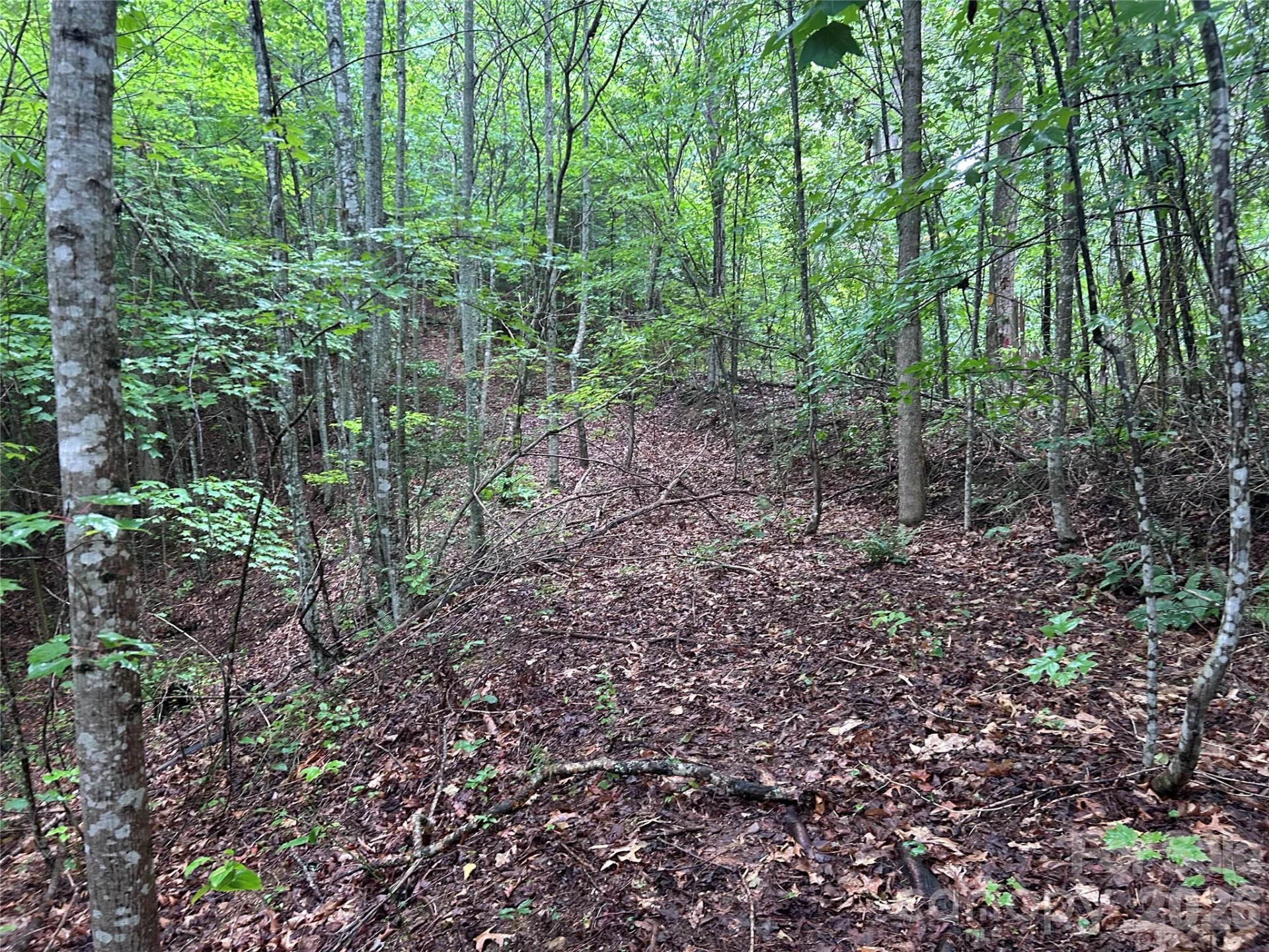 565 Pine Cone Trail - Photo 21