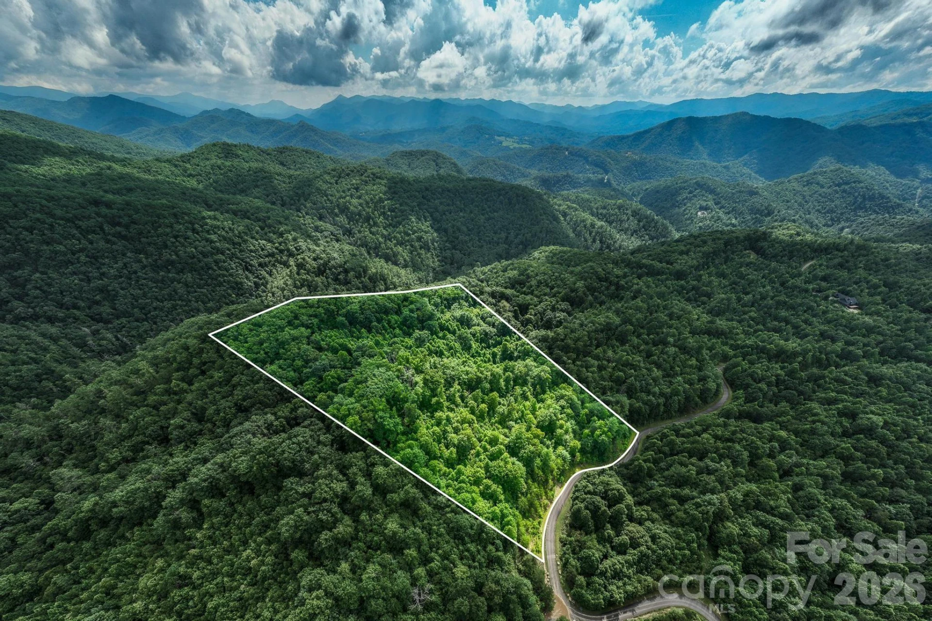 565 Pine Cone Trail - Photo 4