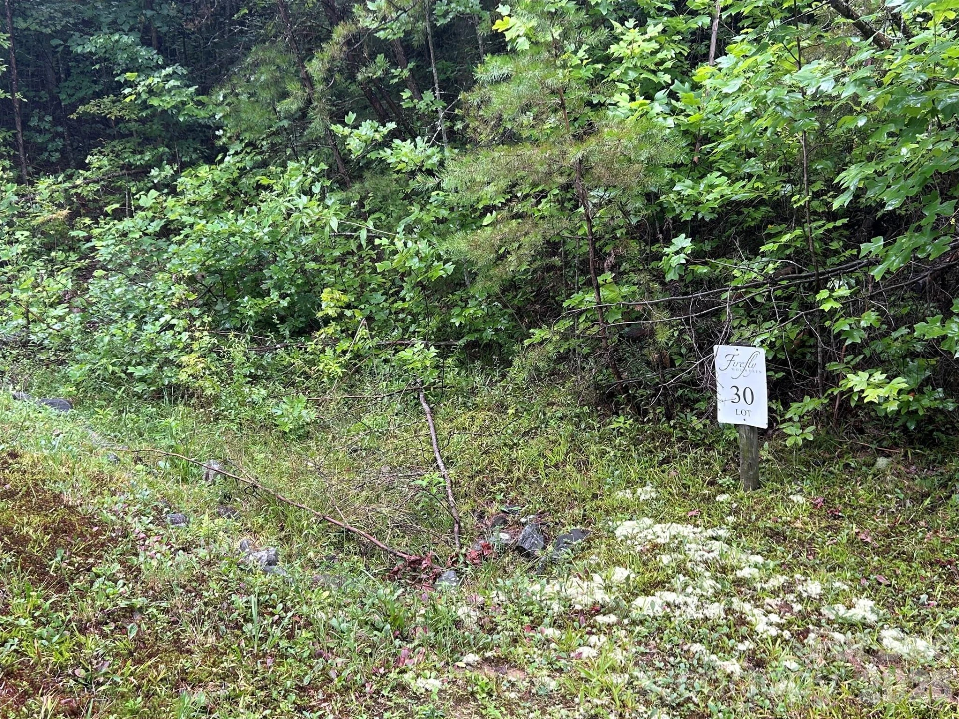 565 Pine Cone Trail - Photo 7