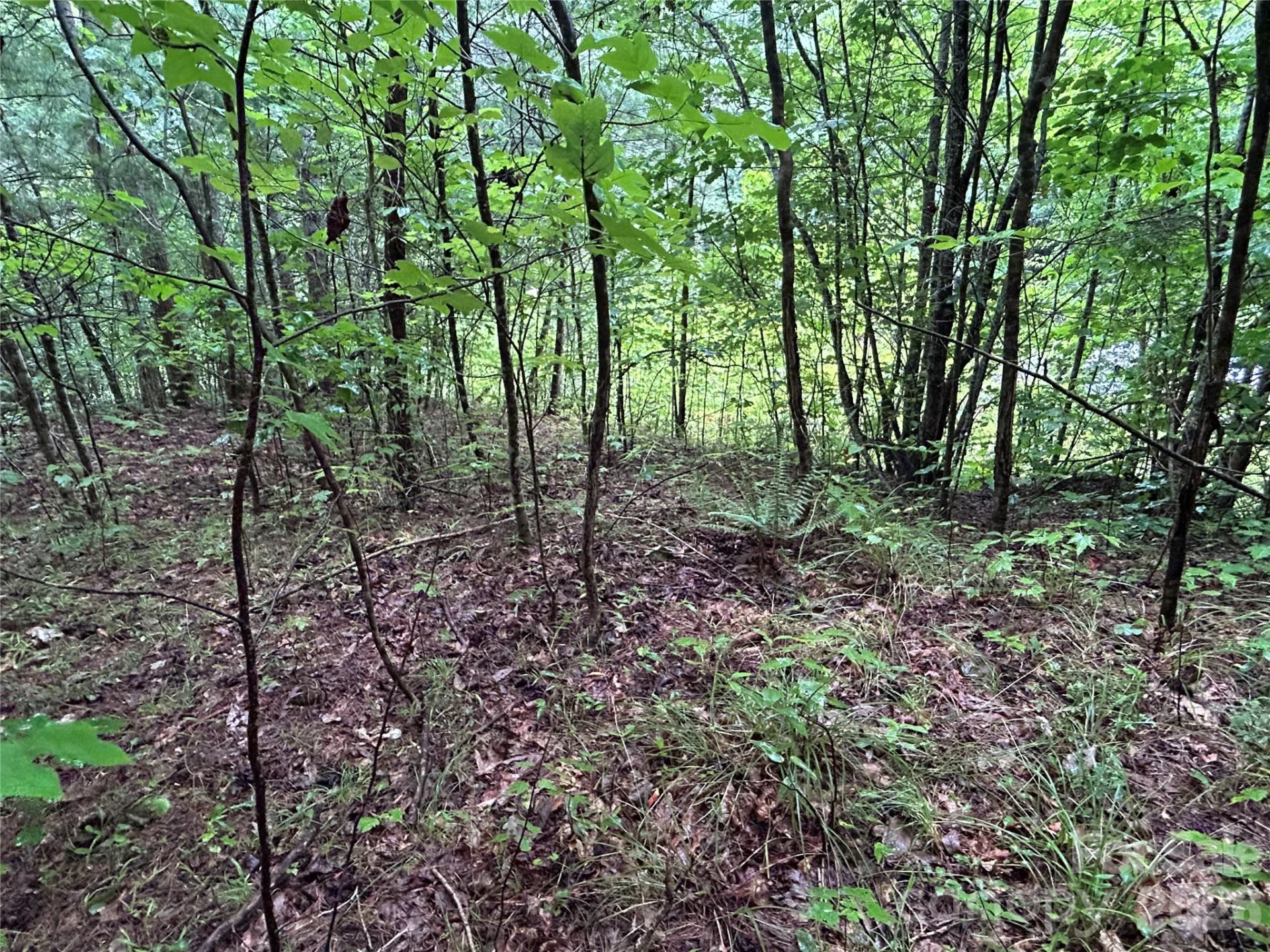 565 Pine Cone Trail - Photo 11