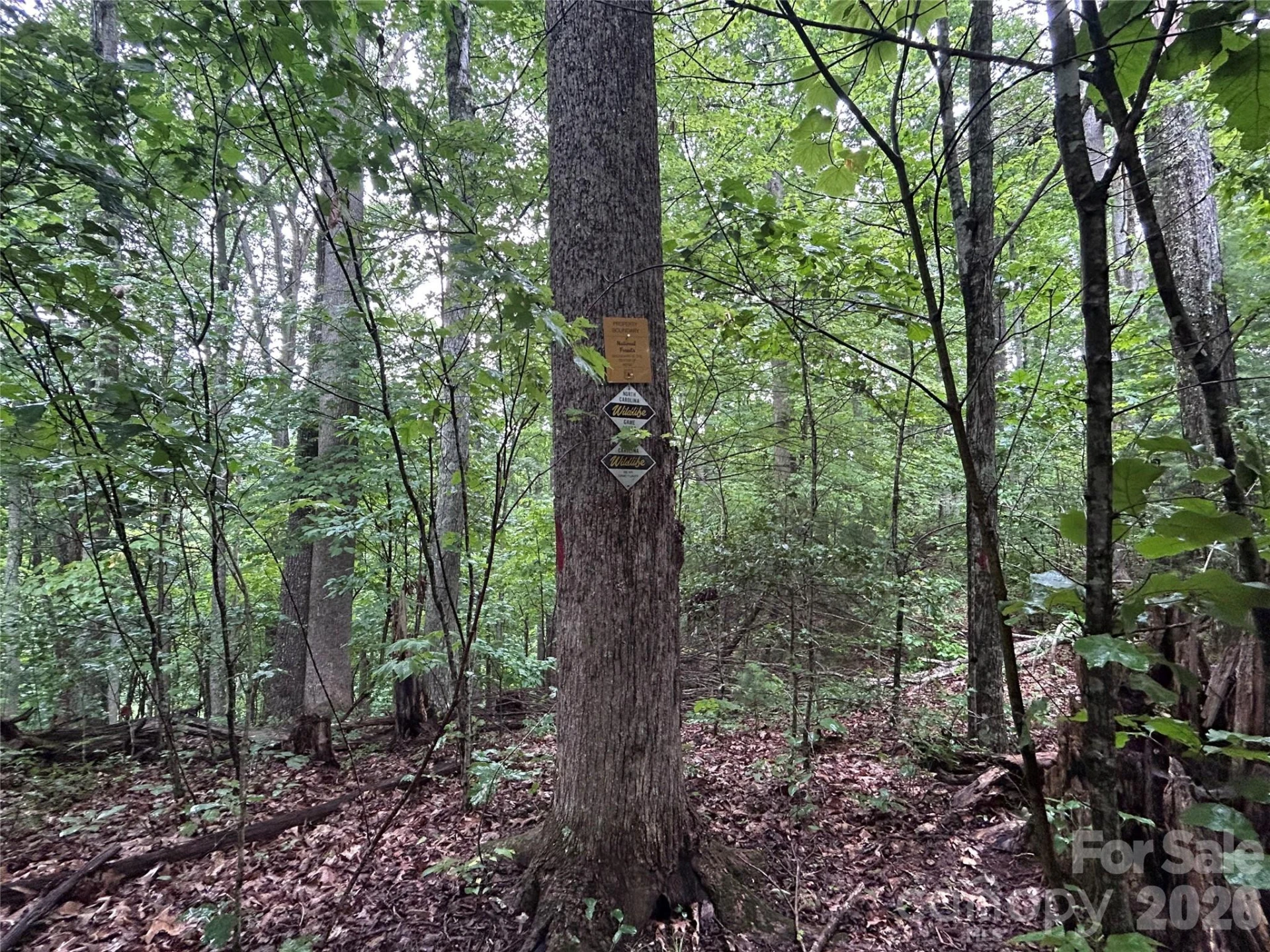 565 Pine Cone Trail - Photo 13