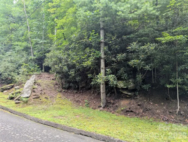 99999 Maryland Place, Montreat, NC, 28757