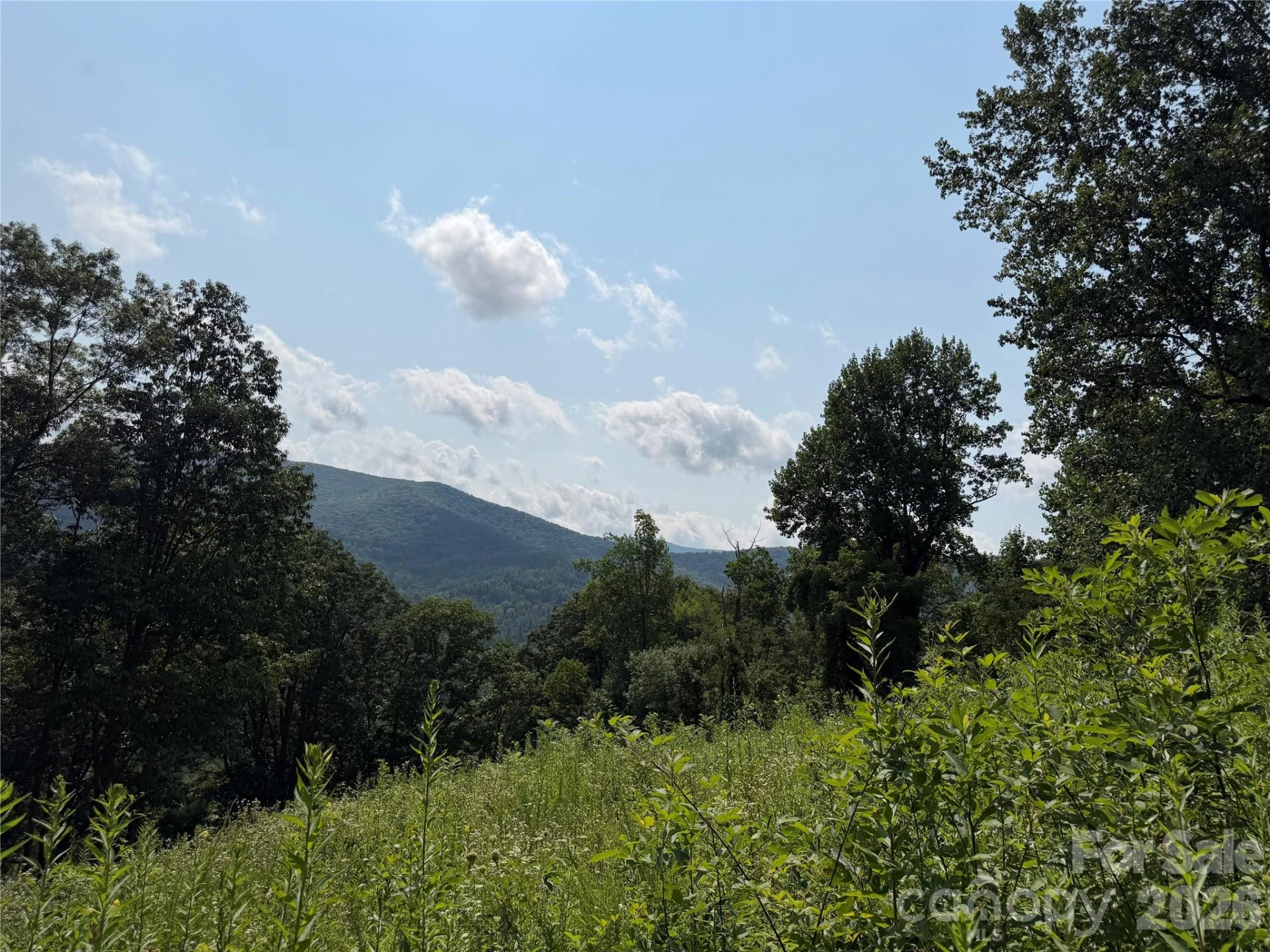 0000 Sorrells Creek Road - Photo 3