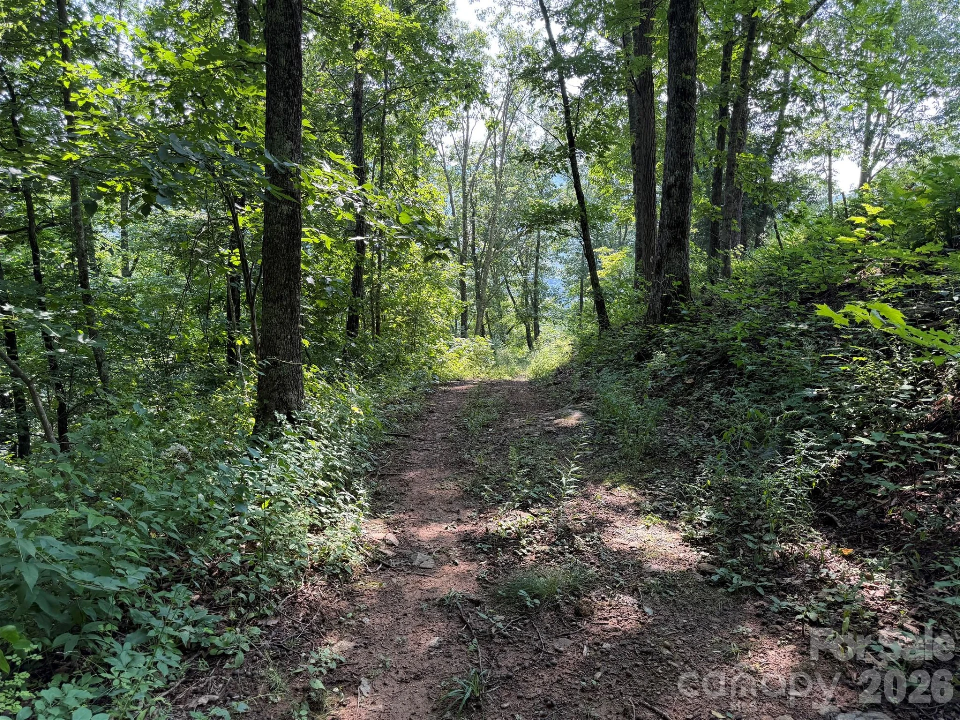 0000 Sorrells Creek Road - Photo 6