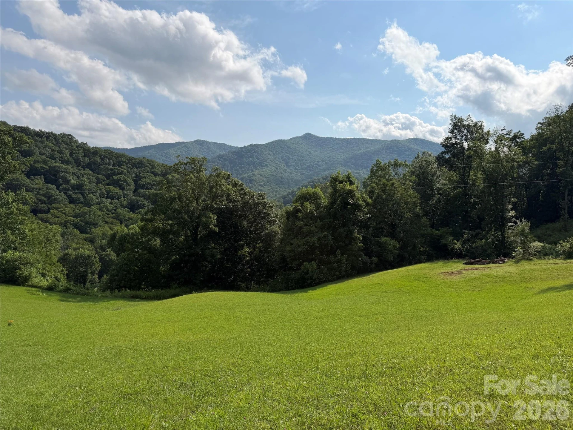 0000 Rickman Ridge - Photo 8