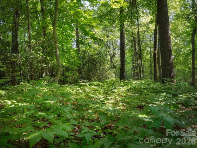 Lot 161 Eagle Lake Drive, Brevard, NC, 28712